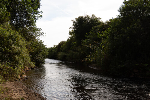 RioDoceagua.jpg