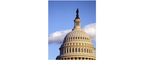 Capitol Dome in Washinton DC