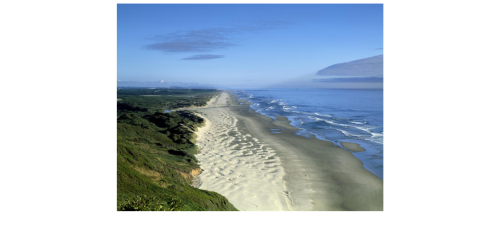 Dunes in Oregon along the Pacific