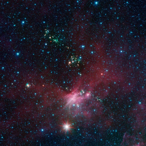 newborn-stars.jpg