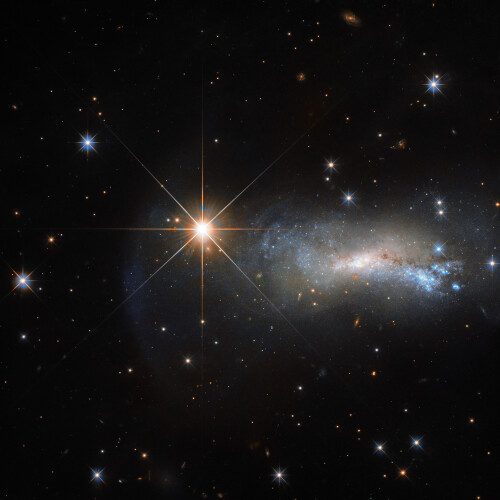 In space, being outshone is an occupational hazard. This NASA/ESA Hubble Space Telescope image captures a galaxy named NGC 7250. Despite being remarkable in its own right  it has bright bursts of star formation and recorded supernova explosions  it blends into the background somewhat thanks to the gloriously bright star hogging the limelight next to it.  This bright object is a single and little-studied star named TYC 3203-450-1, located in the constellation of Lacerta (The Lizard), much closer than the much more distant galaxy. Only this way a normal star can outshine an entire galaxy, consisting of billions of stars. Astronomers studying distant objects call these stars foreground stars and they are often not very happy about them, as their bright light is contaminating the faint light from the more distant and interesting objects they actually want to study. In this case TYC 3203-450-1 million times closer than NGC 7250 which lies over 45 million light-years away from us. Would the star be the same distance as NGC 7250, it would hardly be visible in this image.