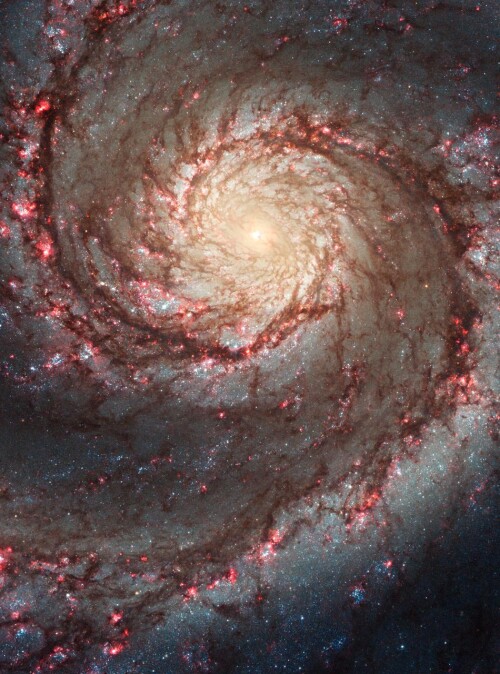 two faced whirlpool galaxy