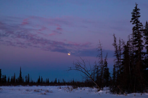 Moon-over-Alaska.jpg