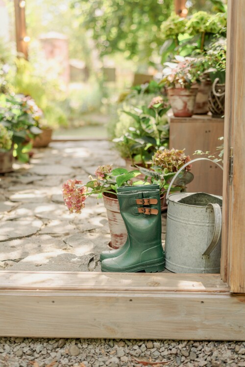 rainboots, watering can, and plants